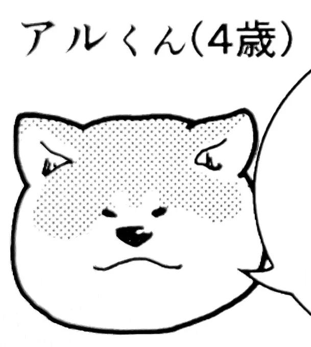 3話目以降の登場人物紹介用イラスト#4コマ漫画 #秋田犬 #ソマリ 