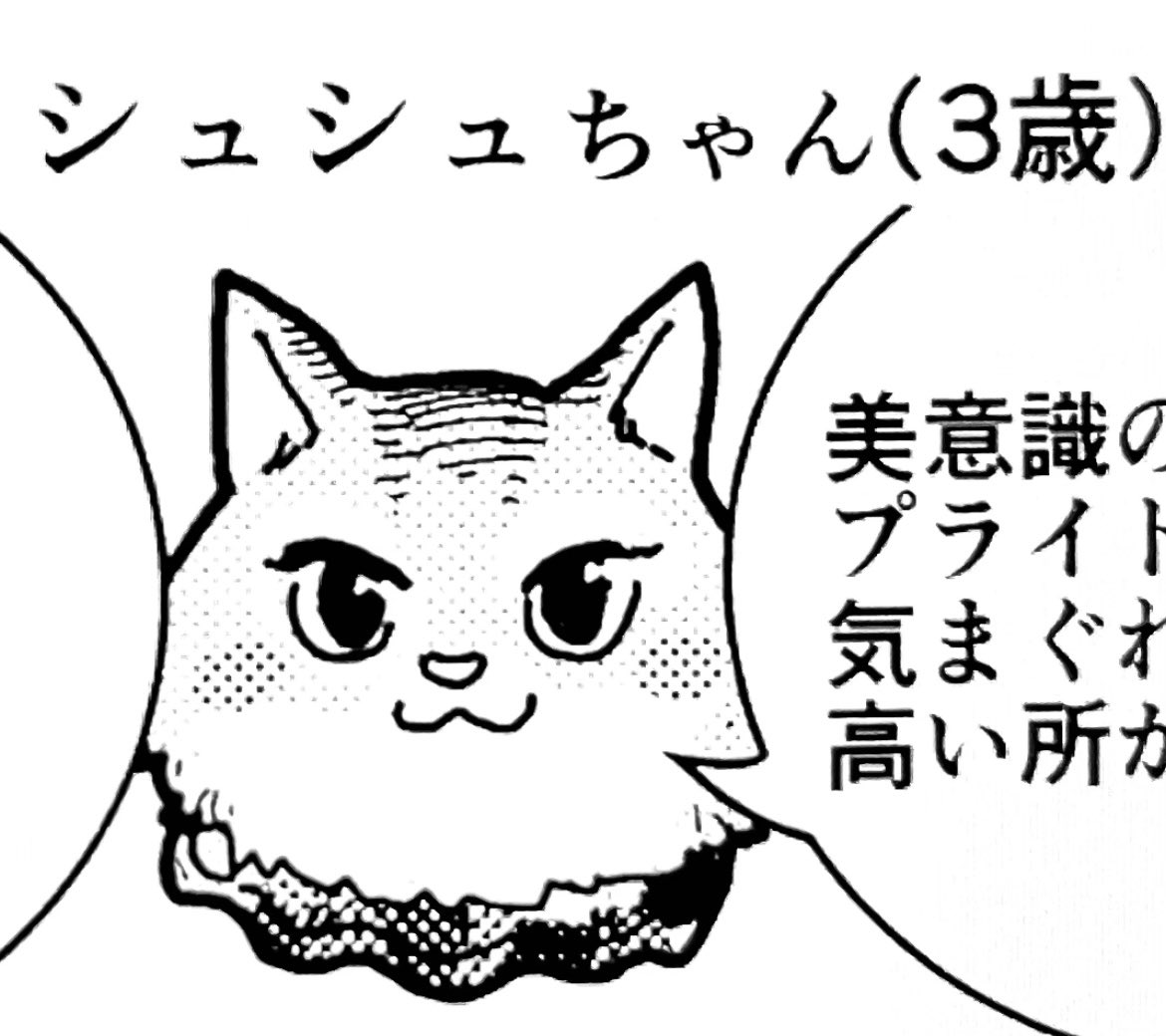 3話目以降の
登場人物紹介用イラスト🐶🐱
#4コマ漫画 
#秋田犬 #ソマリ 