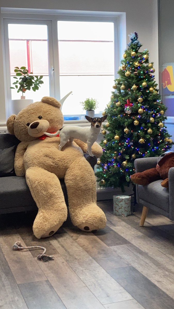 ClionaLawton's tweet photo. We donโt have #elfontheshelf here at @Raid_Studios_ but we do have #santalittlehelper https://t.co/fNAgUBbdbd