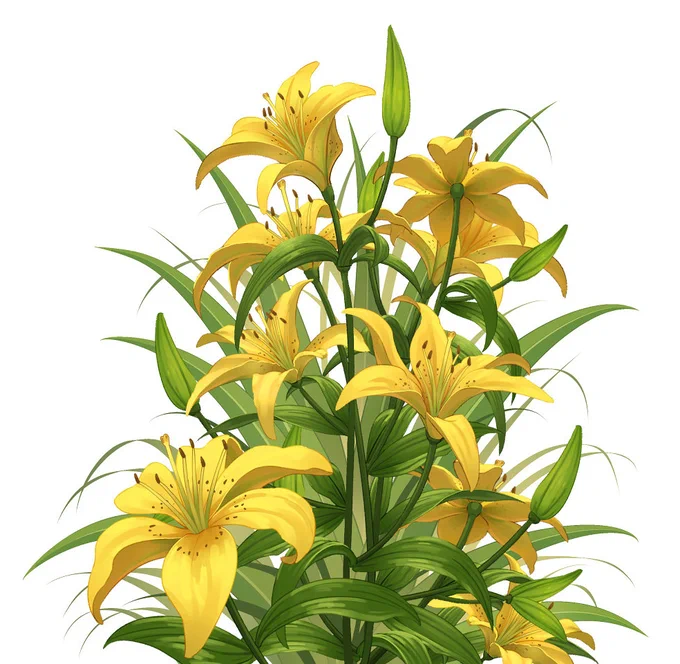 お花 