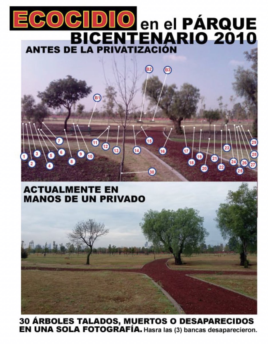 <a href="/reformaciudad/">CIUDAD</a> <a href="/PAOTmx/">PAOT</a> ¿De las denuncias de tala dentro de un parque?

No será que la Procuradora trabajo en <a href="/SEMARNAT_mx/">SEMARNAT México</a> y le está cubriendo la espalda a un amigo.

#@lopezobrador_ #RecuperaTuParque la #CORRUPCIÓN rampante sigue.

La “Desaparición” del #ajolote todavía no pueden explicarla