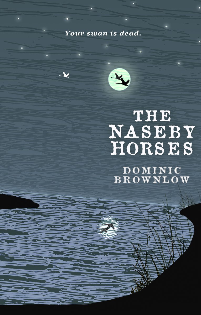Another bookversary... this thing of wonder was published two years ago (5/12/19). Cracking debut novel by <a href="/DominicBrownlow/">Dominic Brownlow</a>. And the reprint has just arrived too... will very soon be back in stock everywhere! #IndieBooks #indiebooksbeseen louisewaltersbooks.co.uk/product-page/t…
