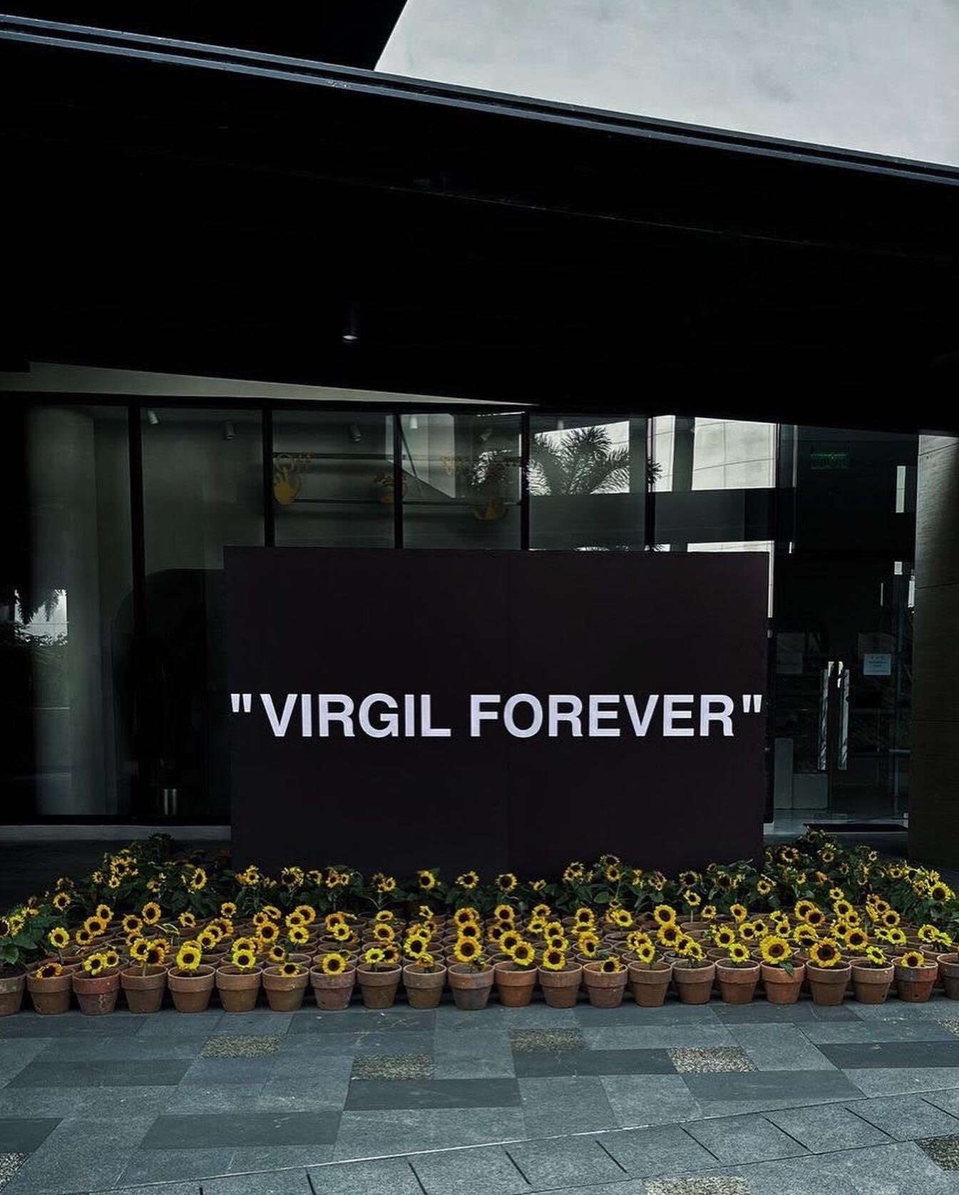 Louis Vuitton: Virgil Alboh – HIVE Home, Gift and Garden