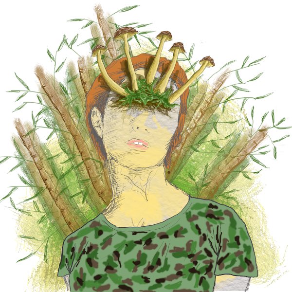 The Higher Beings tweet media