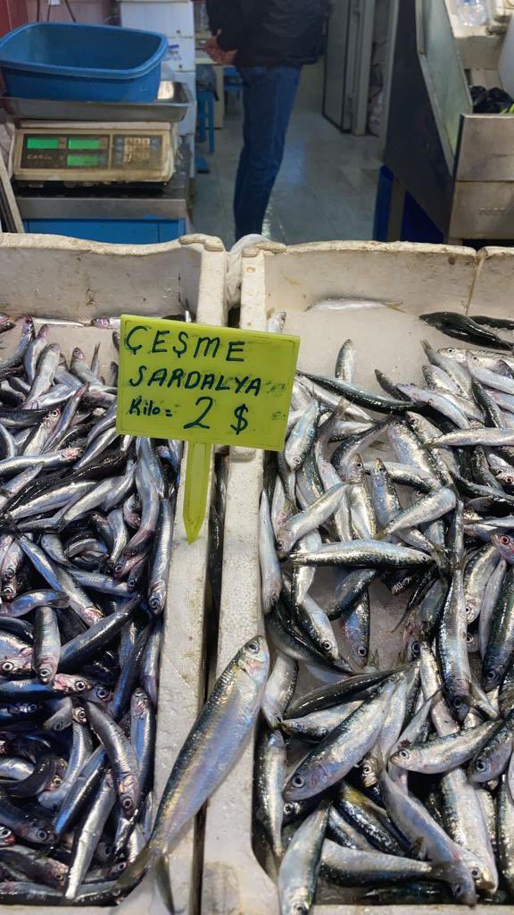 Vaziyetin resmidir…