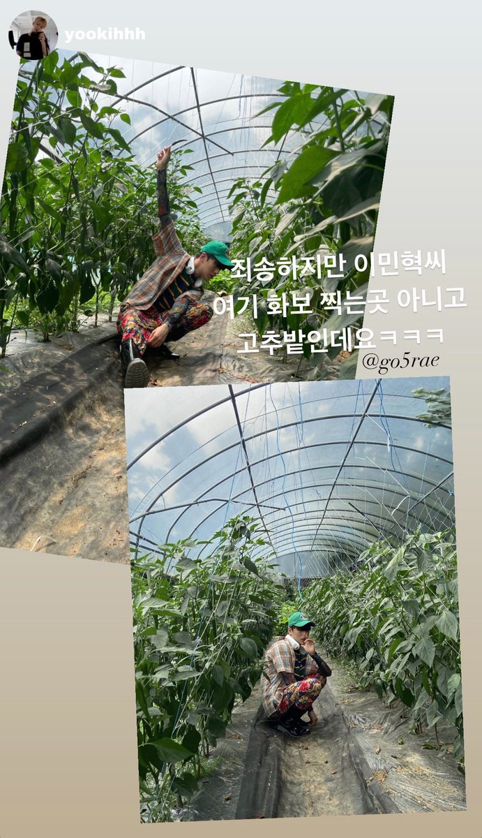 뇸 tweet media