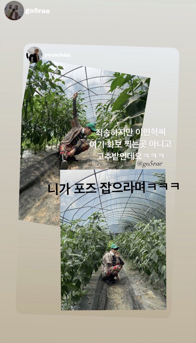 뇸 tweet media