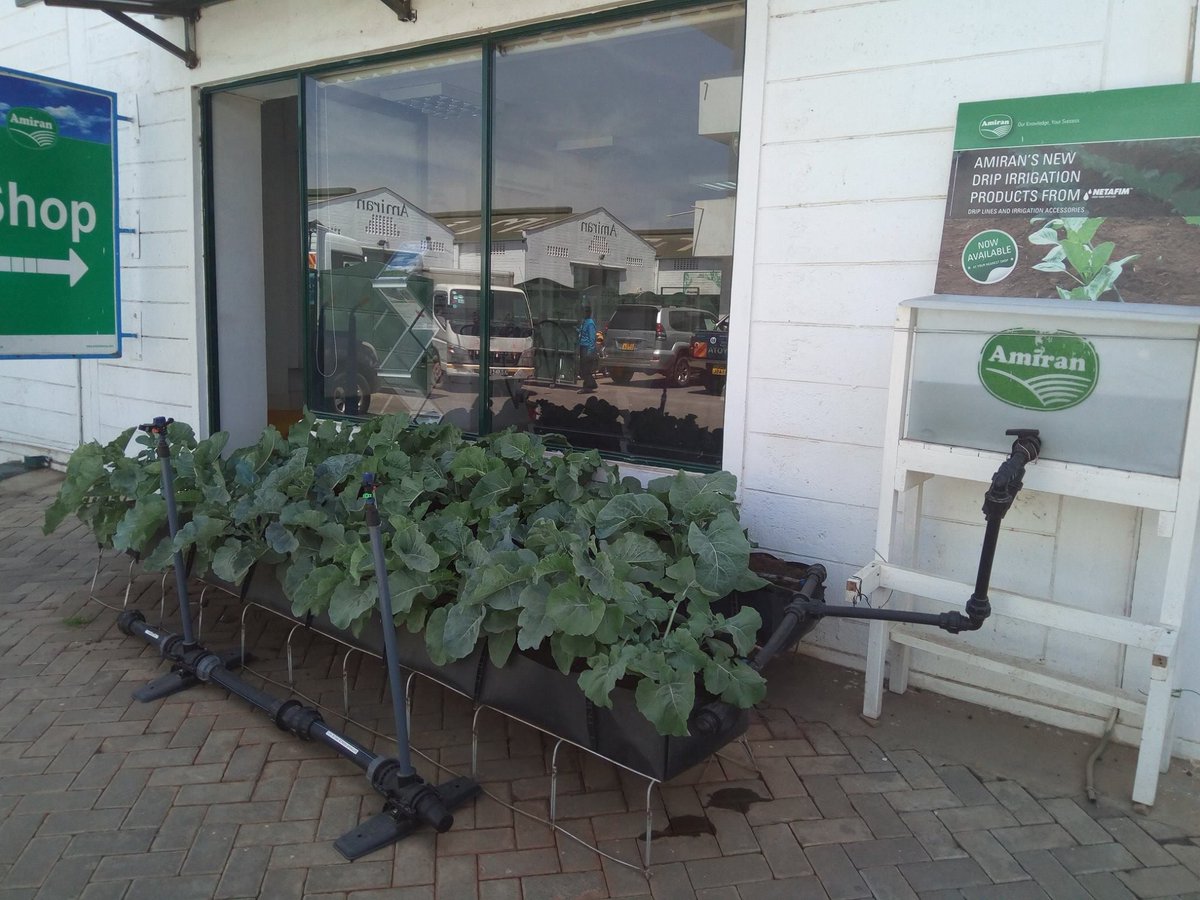 amiran_kenya's tweet image. #PLOT10
Start small and grow big with Amiran K Ltd #PLOT10 
♦️A tank (100L)
♦️Drip irrigation with all accessories
♦️Mapal troughs 203020 5mX3m
♦️Handsprayer 1.5L
♦️Seeds (Kale and Spinach)
♦️Agrochemicals
☎ 0800720720