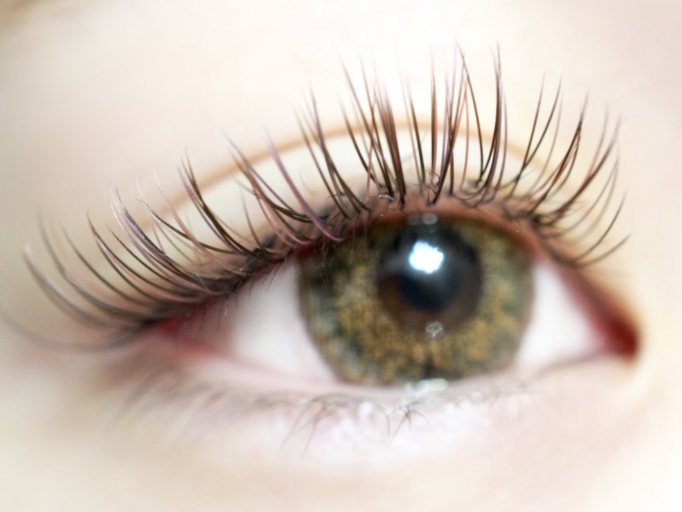 Eyenail新宿御苑前 マツエク まつげパーマ Eyenaileyelash Twitter