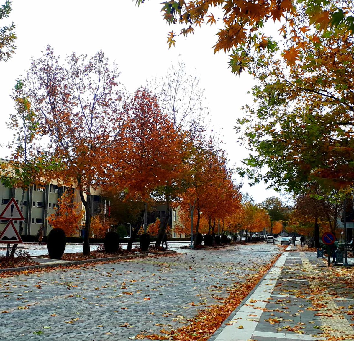 firatresmihesap's tweet photo. Mutlu haftalar #FıratÜniversitesi ailesi. 

🍂😊 https://t.co/BMcvkSPMVS