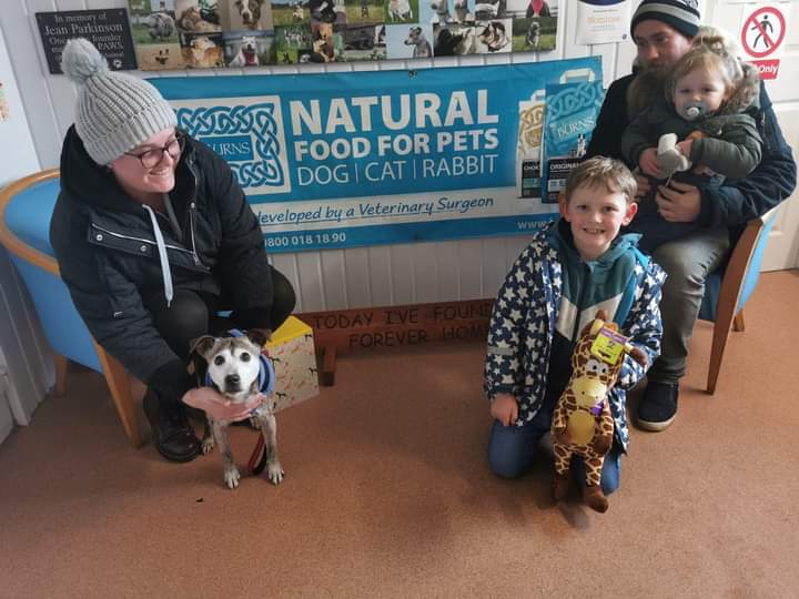 💚 #Adopted 💚 

Happy tails for: 
Beau
Tilly
Xena

They all recently found their forever homes

You got your #HappyEnding little ones. Be good. Always part of the Greenacres Family 💚

#rescue #Pembrokeshire