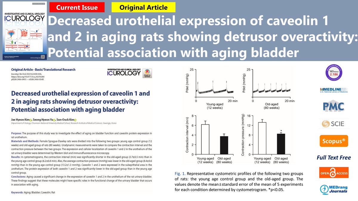 icurology's tweet photo. Decreased urothelial expression of caveolin 1 and 2 in aging rats showing detrusor overactivity: Potential association with aging bladder
https://t.co/guZ6lVcLTg
Investig Clin Urol. 2021 Nov;62(6), Sun-Ouck Kim
#Aging #Bladder #Caveolin #Rat https://t.co/ajdzctbs5M