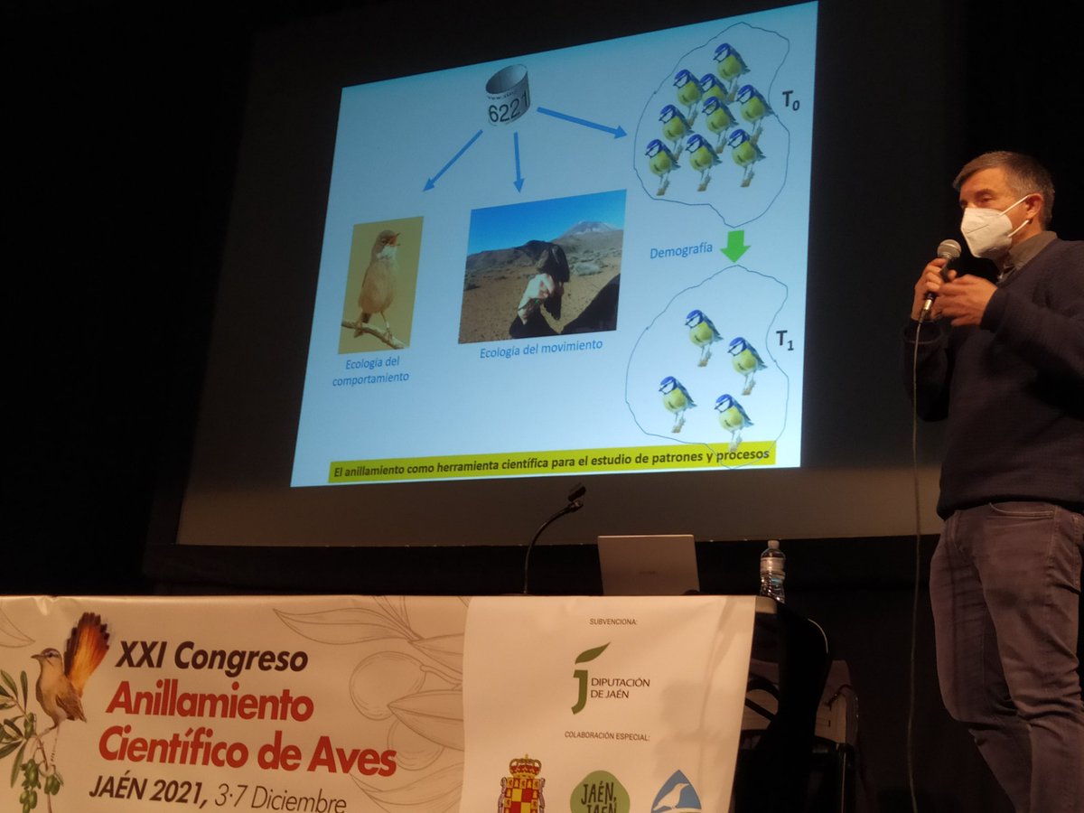 CMA_SEOBirdLife's tweet photo. Última sesión del #CongresoAnillamiento @SEO_BirdLife con @JuanCarlosIll18  que habla del anillamiento como herramienta para comprender los procesos de diferenciación https://t.co/O7dKRZ2EOU