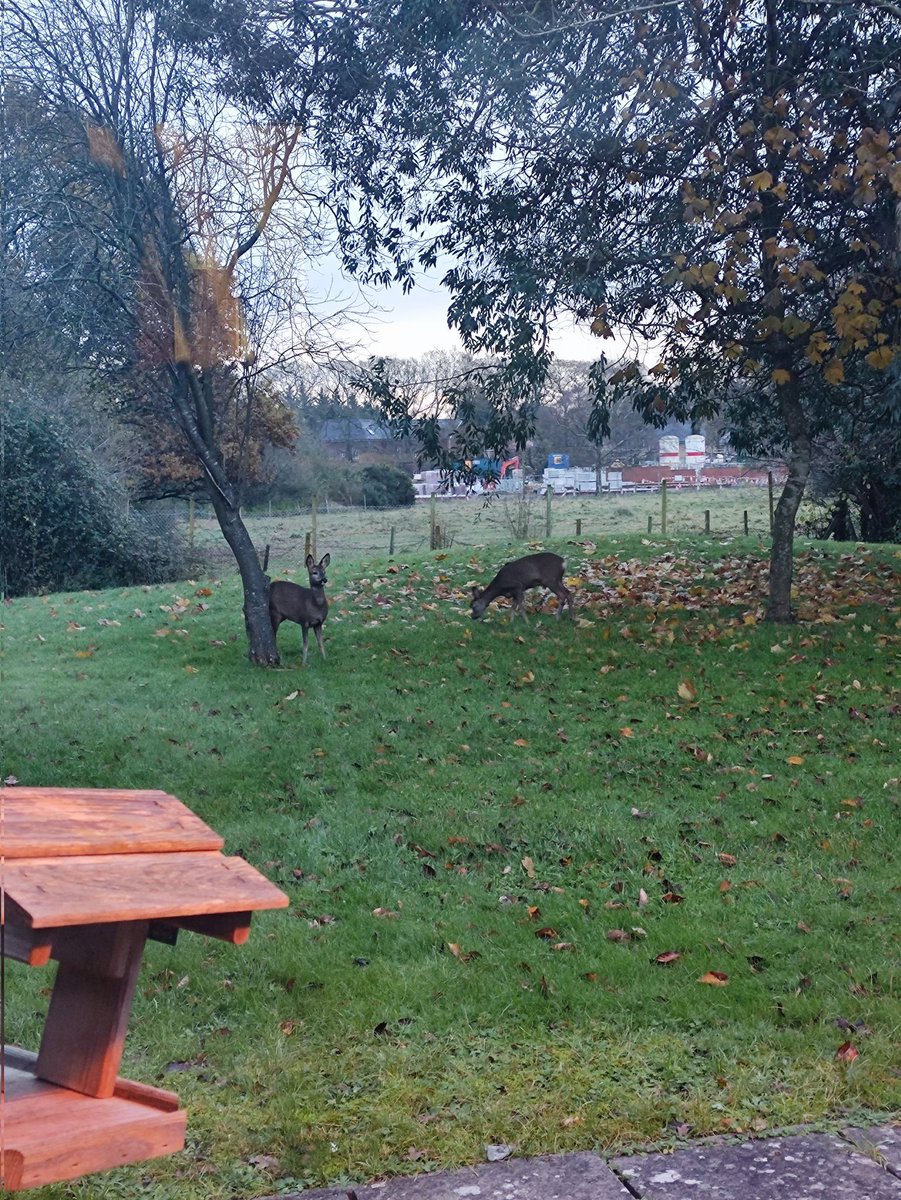 Claire Fulker tweet media