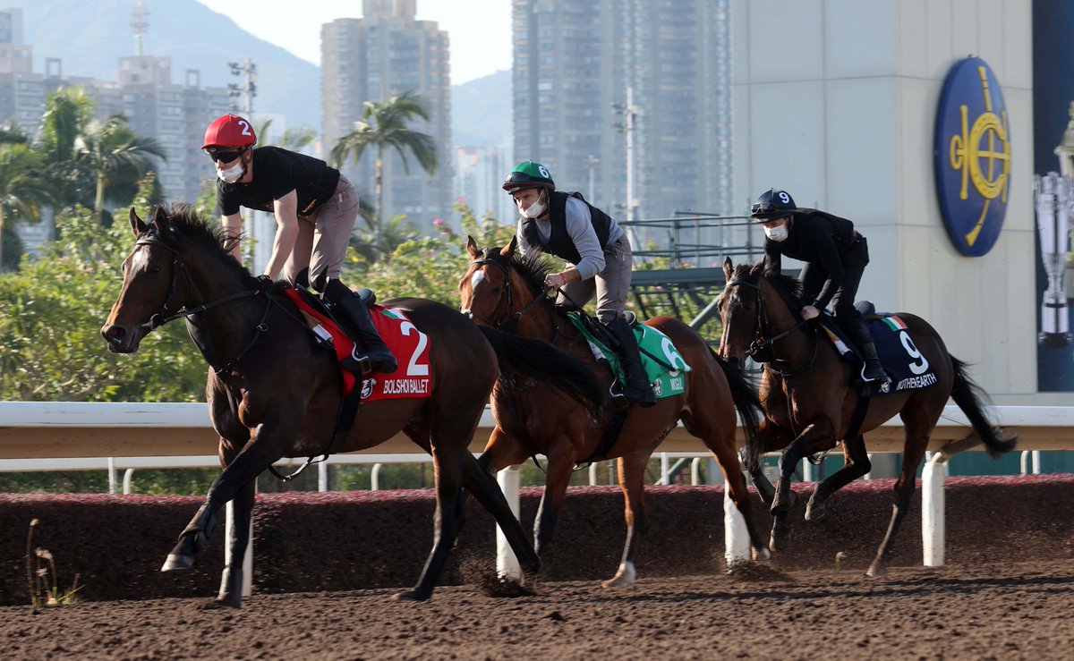 HKJC Racing tweet media