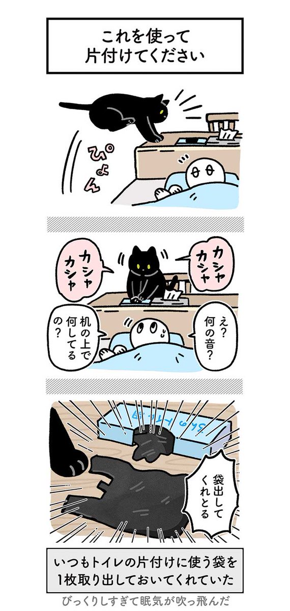 「中に人が入っているのでは?」 飼い主さんを驚かせた、猫の行動が…こちら https://t.co/rMSL2Ww9nK @grapeejpより 