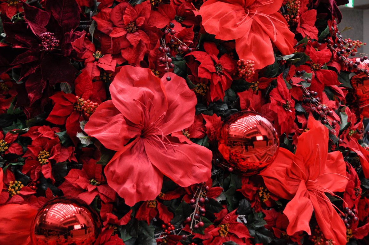 Megu ジャイアントフラワーアーティスト Petal Design 光が丘ima Red Azalea Christmas Tree 登場 練馬区の花 アゼリア つつじ をモチーフにした大人のクリスマスツリーです Petal Designはジャイアントペーパーフラワーの アゼリアの制作を