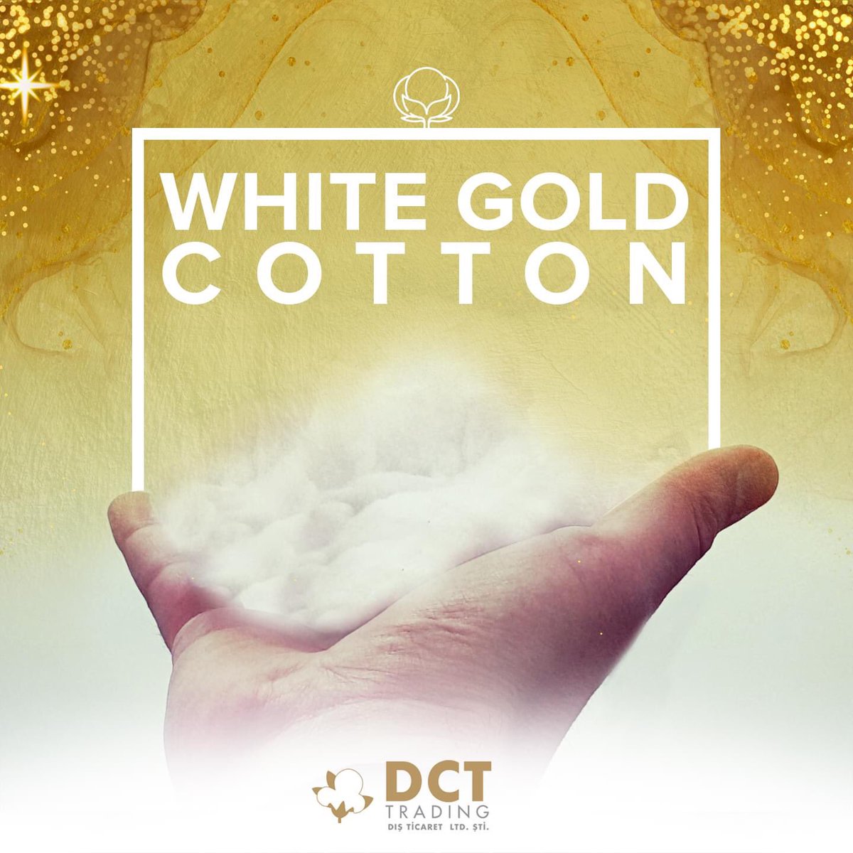 DctTrading's tweet photo. Cotton; used in many different fields such as gin, yarn and fabric, textile, paper, oil, bio-fuel.

Cotton is an important economic resource for producing countries with the added value and employment opportunities it creates.

#DctTrading #export #import #cotton https://t.co/FlCYACJBXu