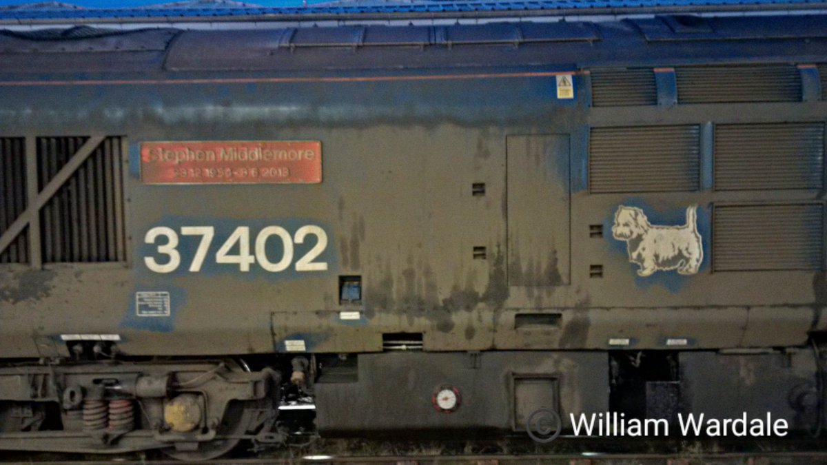WilliamWardale's tweet photo. Direct Rail Services class 37 402 (Stephen Middlemore) at Sheffield midland station
#directrailservices @DRSgovuk #britishrail #britishrailways #britishrailclass37 #class37 #class37402 #trainspotting #Sheffield #sheffieldrailwaystation https://t.co/0EwJmm3g61