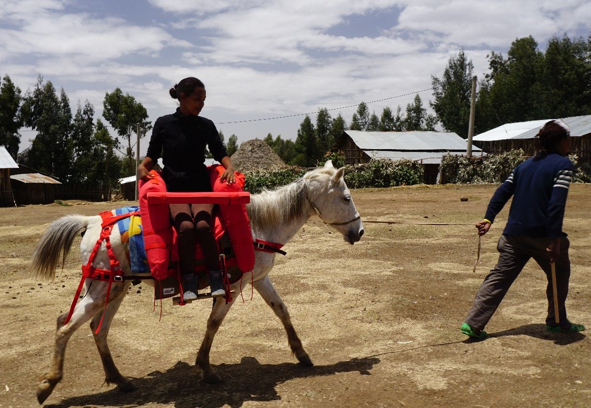SaddleAid's tweet photo. @apadlodwar Our saddles are designed specially for carrying injured people or pregnant women who live is remote areas https://t.co/TKeB7K16xG