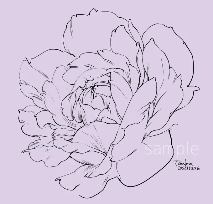 体調回復したのでウォーミングアップも兼ねて花のブラシ用の元画像ラフ描く。
色んな角度の薔薇を用意したら大好きなあのキャラをもっと早く描ける(手抜きでキャラに申し訳ない気もするが)。 