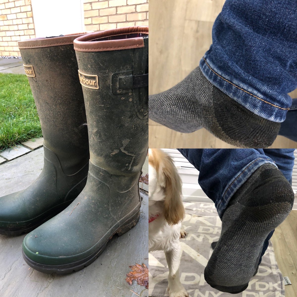It would appear that my much loved Tempest wellies from <a href="/Barbour/">barbour</a> have sprung a leak !!! I was wondering what all the squelching was while I was walking the 🐶 this morning .. and I can’t find a hole anywhere which is rather baffling too .. any ideas <a href="/Barbour/">barbour</a> ?
