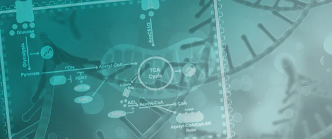#coverstory by Antonia Kalushkova et al. (@UU_University): One #Omics Approach Does Not Rule Them All: The Metabolome and the Epigenome Join Forces in Haematological Malignancies
mdpi.com/2075-4655/5/4/…

#GeneRegulation #MultipleMyeloma