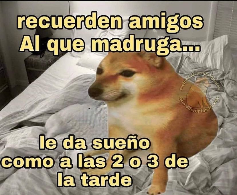 maaaisa__'s tweet image. 