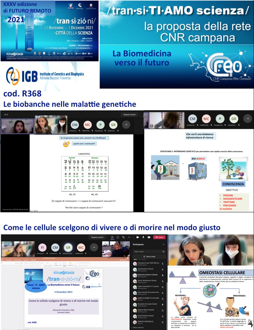 At the XXXV edition of Futuro Remoto, the IGB researchers realised the interactive presentations on “biomedicine towards the future"