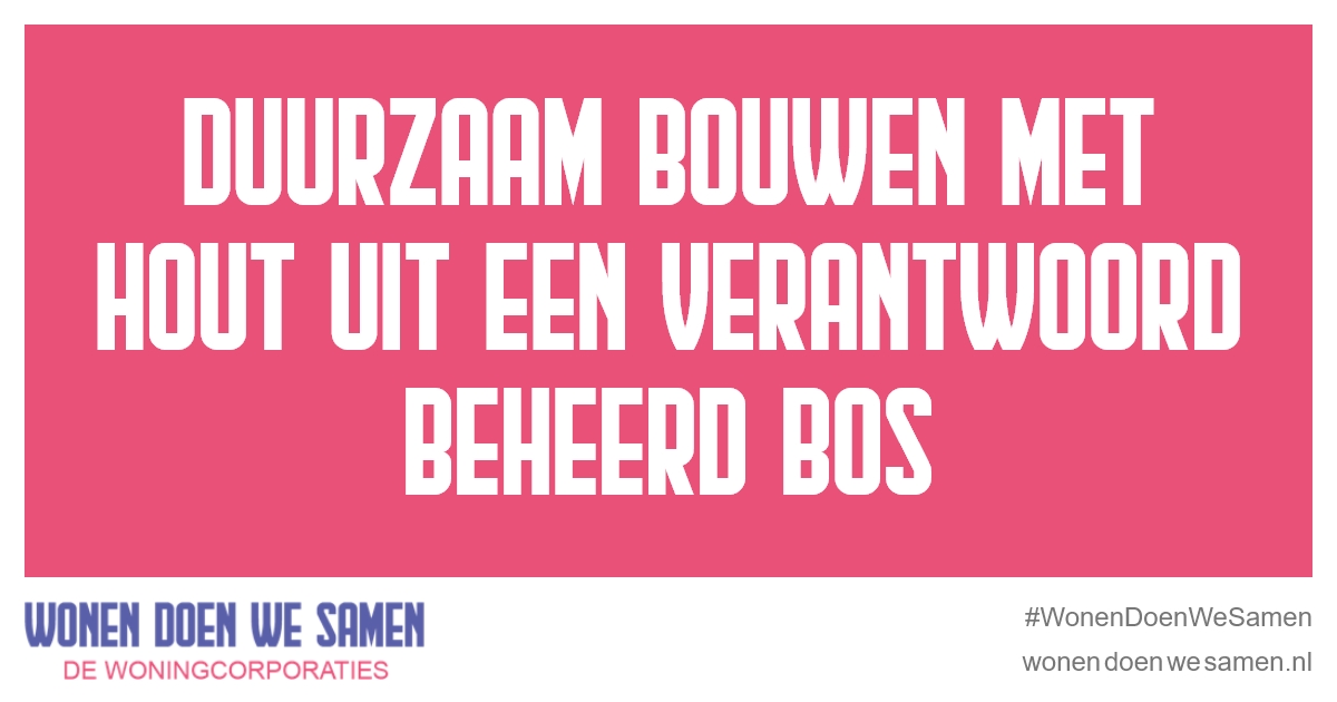 Bouwen met hout is volgens Wonen Limburg een goede stap naar verduurzaming van woningbouw. De woningen gaan lang mee en hebben ook nog eens heel veel voordelen voor het milieu. Bekijk ze allemaal. sowo.kr/4KM83TXI #WonenDoenWeSamen