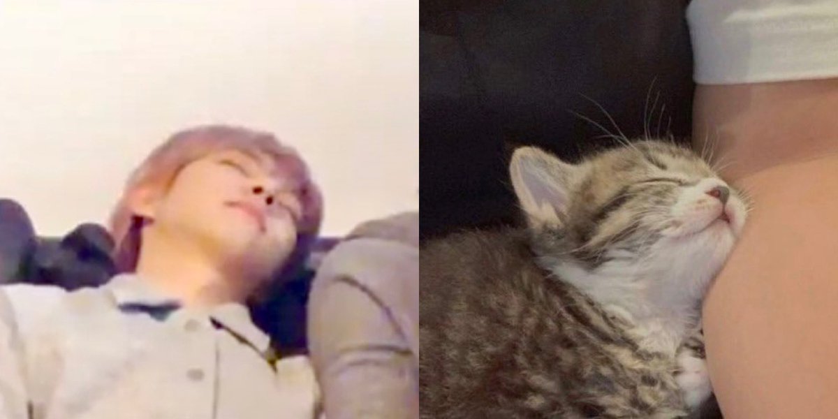renjun_cat's tweet photo. #RENJUN #런쥔 #仁俊 #ロンジュン #renjun_cat https://t.co/UjkCTU0Mlo