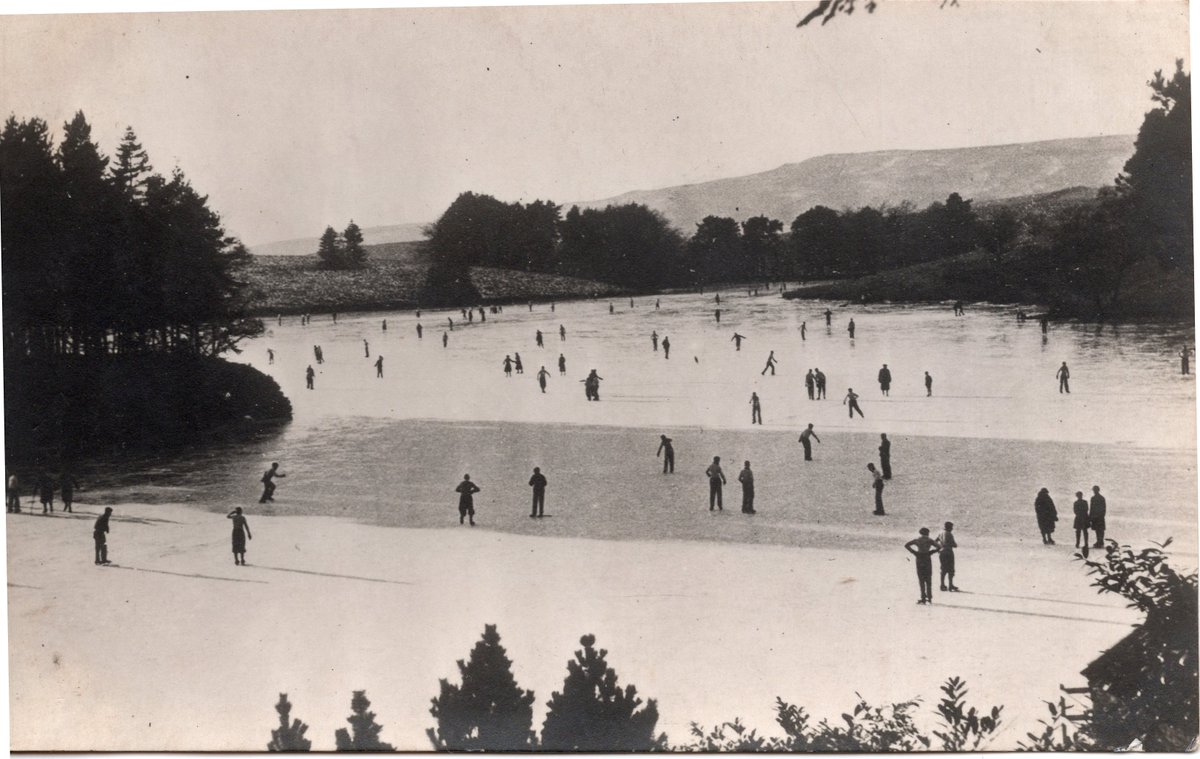 Sedbergh Archive tweet media