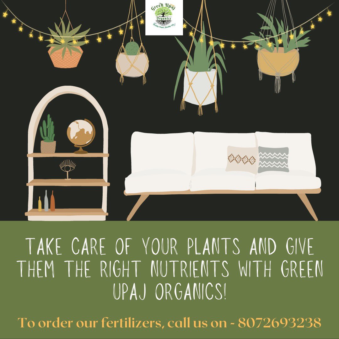 GreenUpaj's tweet photo. Improve your soil’s moisture-holding capacity with our organic fertilizers 
#greenupaj #organic #healthy #plantbased #greenplants #fertilizers #chemicalfree #healthyplants #plantlovers #nursery #organicfertilizer #gardens #like #follow #flower #blossom #growth #organicfarming https://t.co/G4yOQBiQ4J