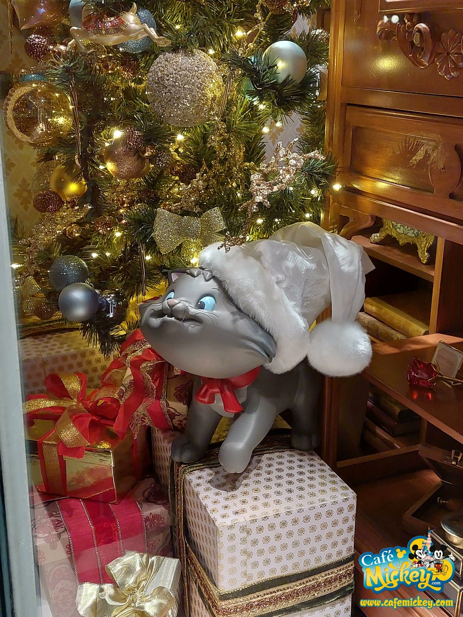 Cafe_Mickey's tweet photo. De kerst komt dichterbij, nog 19 dagen op de teller van de #CafeMickeyChristmasCountdown. In #MainStreetUSA kom je veel mooi gedecoreerde etalages tegen, zoals deze #Harringtons etalage. Je vindt er naast de leuke kerstdecoratie ook Duchess en haar kittens. ๐๐ฑ๐
#DisneyXmas https://t.co/Cmabt37HGo