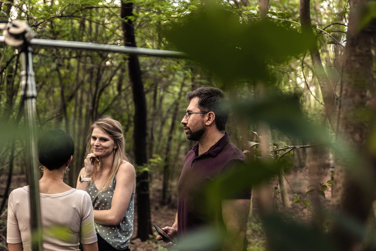 Handmade Media tweet media