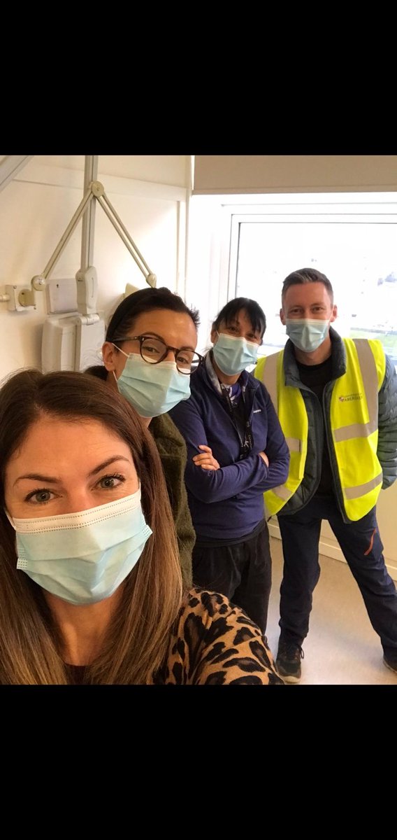 Theladybirdhaslanded tweet media