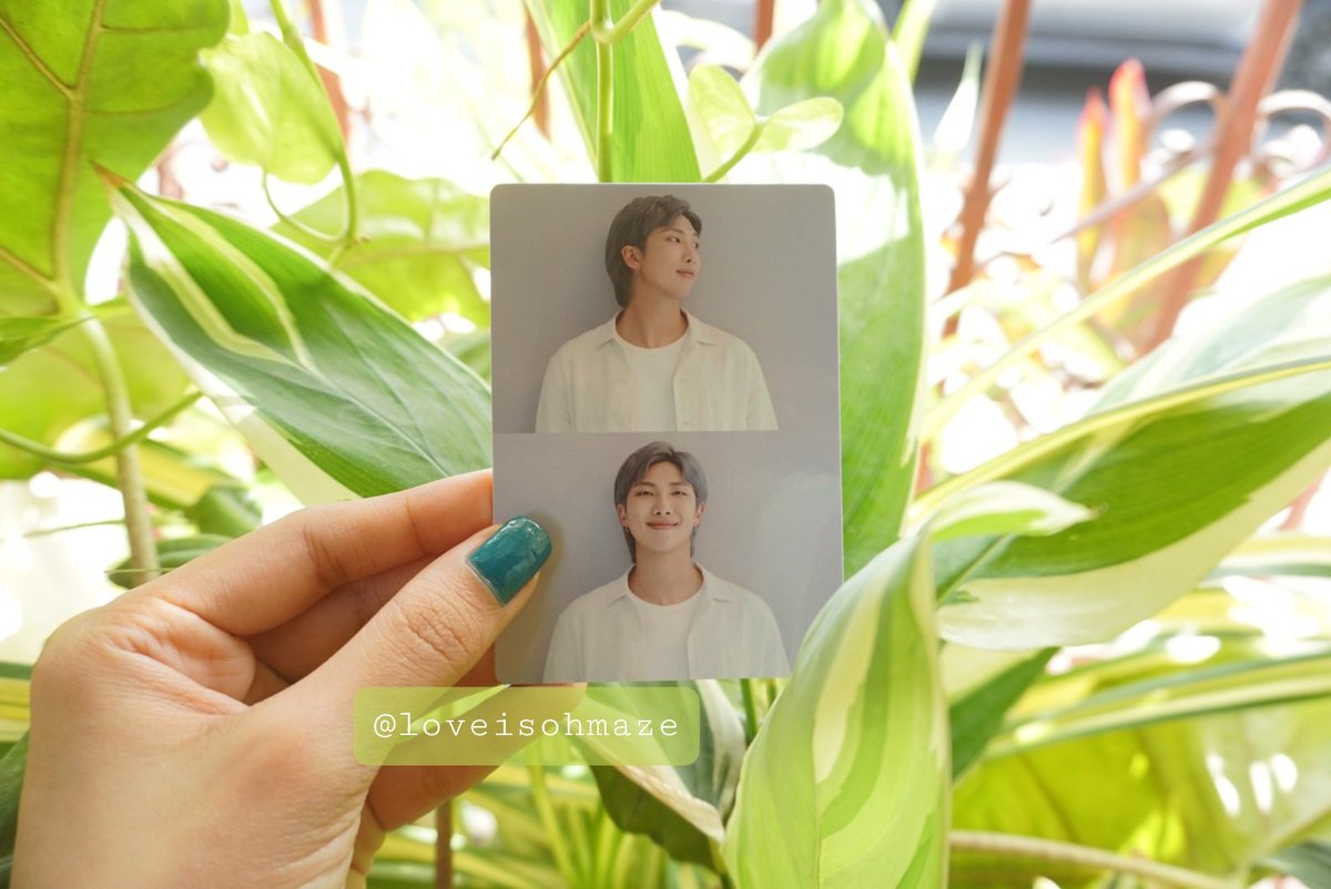 loveisohmaze's tweet photo. —[♡]• • • #joonieinthemail

at umuwi nga nga, superrrrr cuuuute! joonieeee ♡♡♡ ang laki pala ng pc na 'to hehe. 

thank you berry much, @ChickenCipher 💗💗💗 https://t.co/lMG0EELyKy