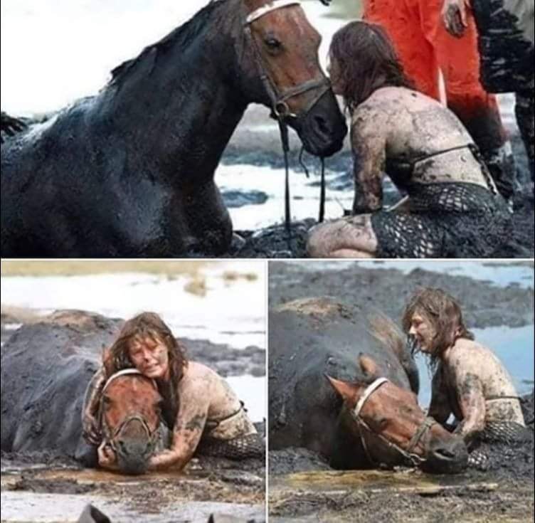 AnnaMar49841121's tweet photo. L' australienne Nicole Graham a tenu la tête de son cheval pendant 3 heures complètes hors de l'eau pour le sauver de la noyade, jusqu'à ce que de l'aide arrive et le tire de la boue. https://t.co/EW2MVxrHQV