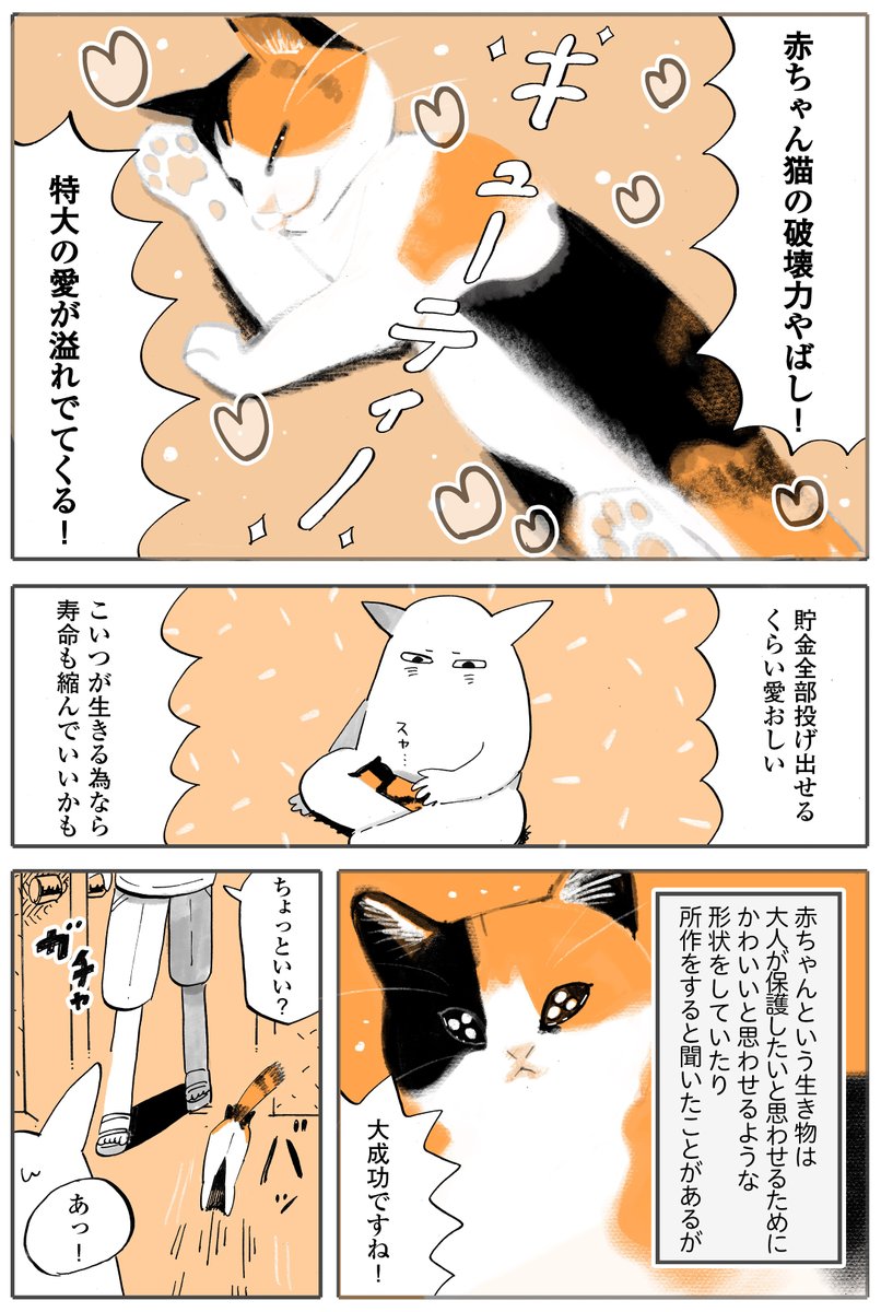 『子猫登場!』
(1/2) 