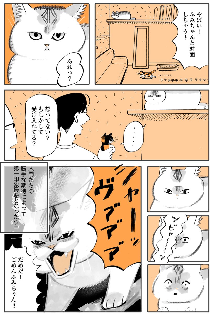 『子猫登場!』
(1/2) 