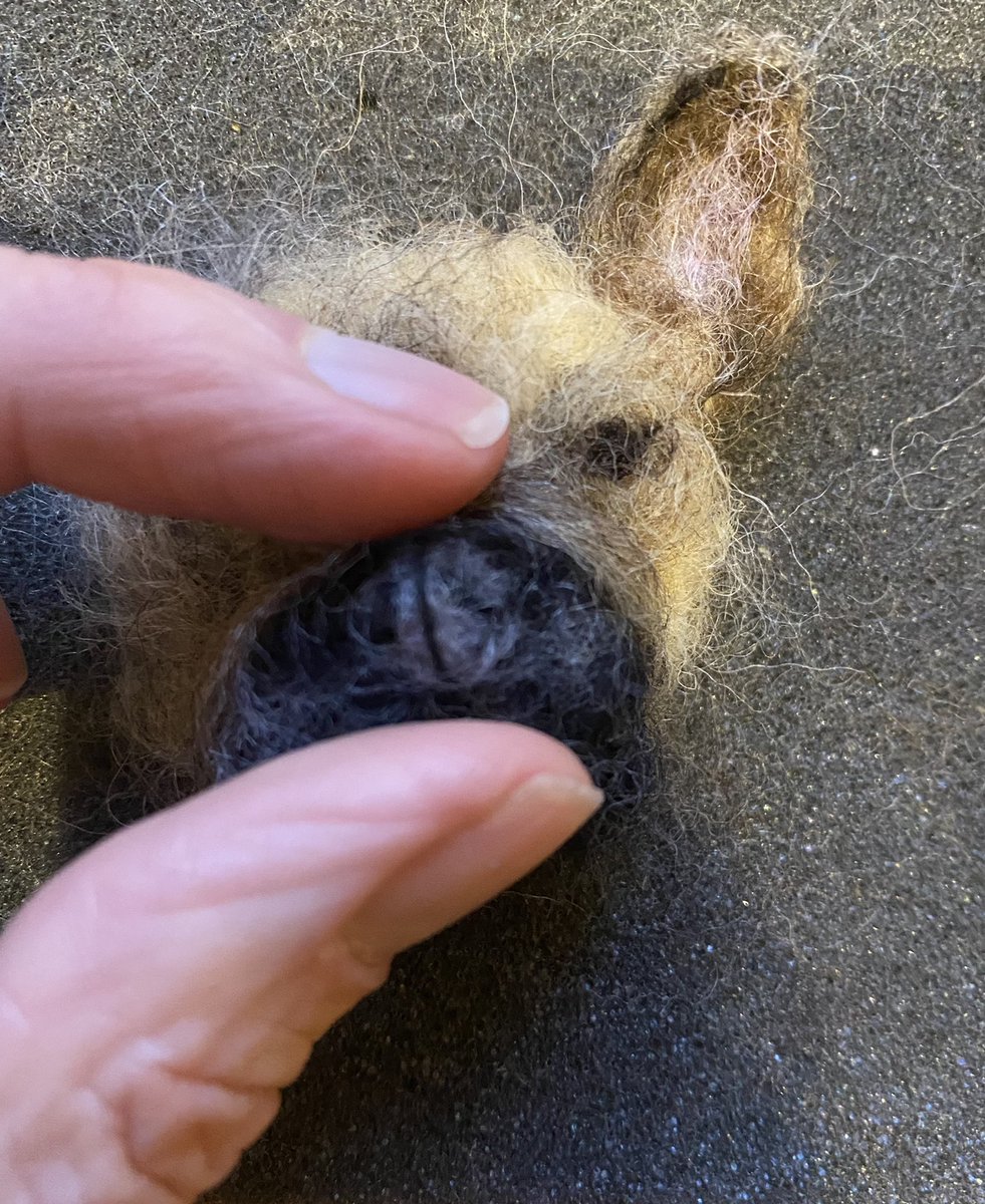 Working on tiny intricate noses.                    #christmas #christmasgifts #woolportrait #woolartist #dogartist #woolcraft #dogdecor #christmasdog #needlefelting