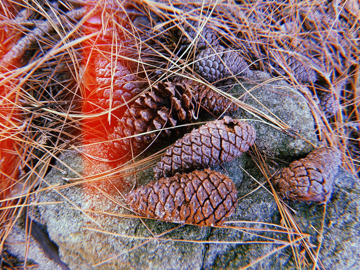 ___aono21's tweet photo. 🚶🏻‍♀️🍂☕️ https://t.co/KJG3n5xYmz