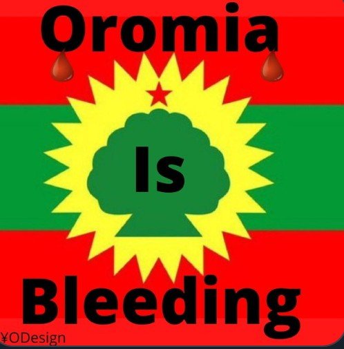 ManGammee's tweet photo. Arsii is      bleeding 🩸
Borana is  bleeding🩸
Wallaga is bleeding🩸
Gujii is       bleeding🩸
Harargee is bleeding🩸
Shawa is    bleeding🩸
Wallo is      bleeding🩸
Jimma is     bleeding🩸
Ilu Aba Bora is bleeding🩸
Karrayu is       bleeding 🩸
     Oromia is bleeding🩸 https://t.co/RPx4N0Qofd