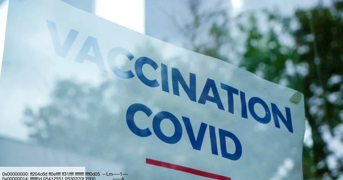Capital (@magazinecapital) on Twitter photo 💉 Vous n'arrivez pas à trouver un rendez-vous pour la vaccination contre le #Covid19 ? Bonne nouvelle, le service d'alerte de <a href="/covidliste/">Covidliste</a> fait son retour !
buff.ly/3psnC25 💉 Vous n'arrivez pas à trouver un rendez-vous pour la vaccination contre le #Covid19 ? Bonne nouvelle, le service d'alerte de <a href="/covidliste/">Covidliste</a> fait son retour !
buff.ly/3psnC25