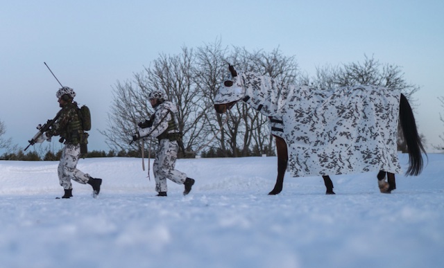 spartan_at's tweet image. Immer redet man im Winter von Wintertarnung und Menschen und Fahrzeugen. Das. hier ist Matti, das Pferd. Es trägt einen finnische M05-Schneetarnanzug, gefertigt von #SAVOTTA.

spartanat.com/2021/12/matti-…