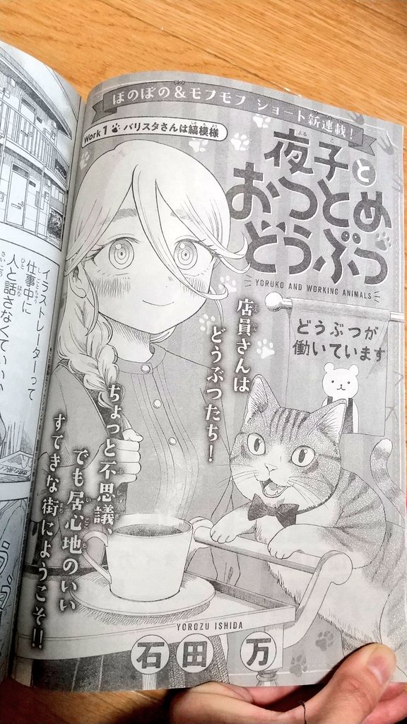 本日発売の月刊少年マガジン1月号から「夜子とおつとめどうぶつ」の連載が始まりました!コミュ症女子と、動物が働く町のお話です。よろしくお願いします!🐱 