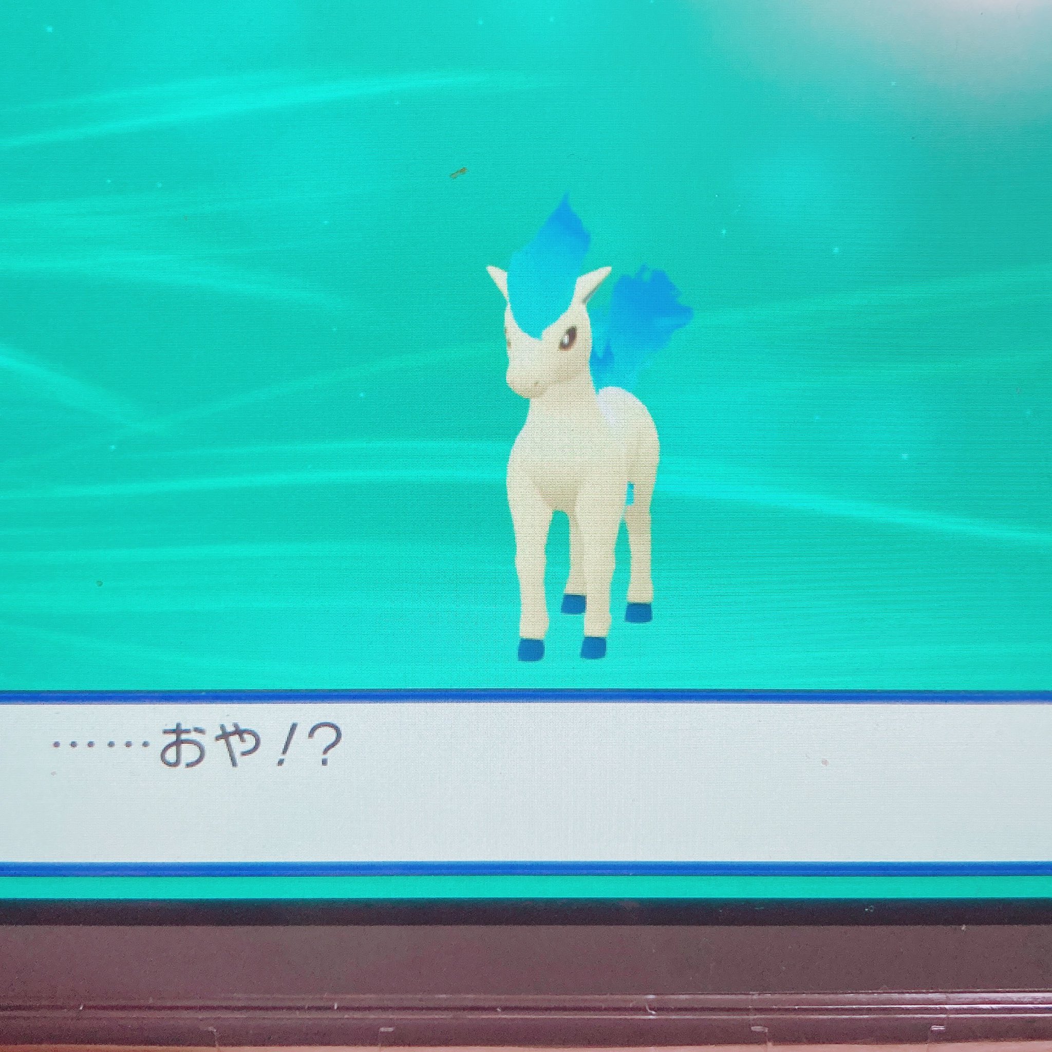 色違いギャロップ Twitter Search Twitter