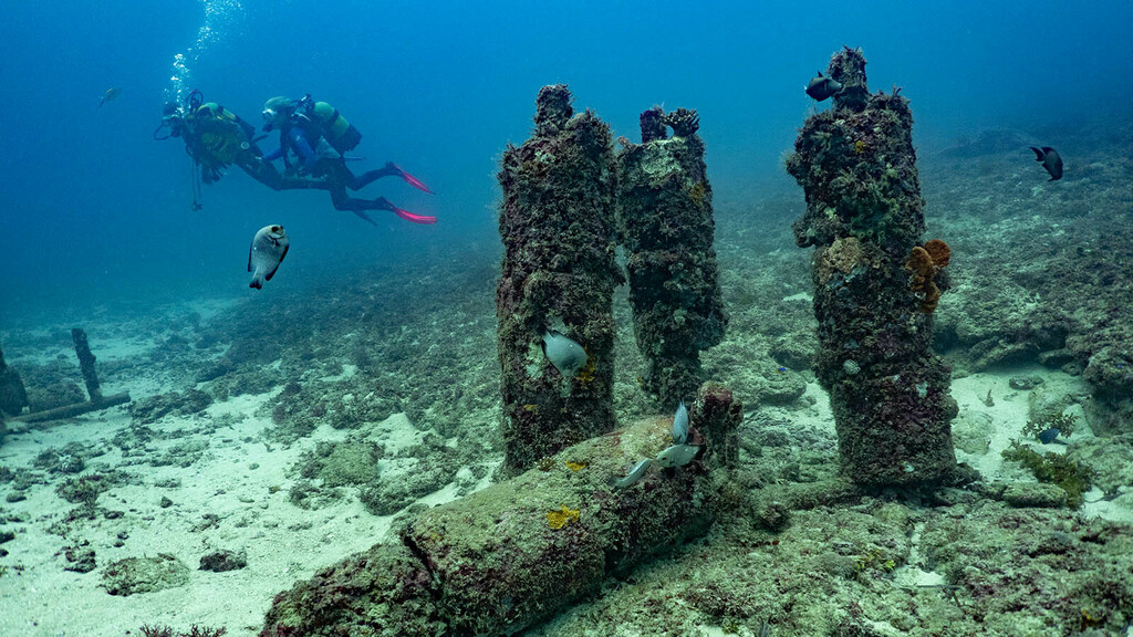 TheSandsKenya's tweet photo. Discover one of the most popular dive sites: the Igloo reef, named after an abandoned underwater habitat. By the igloo, there is a rich fish step with a large population of Sweetlips. Octopui are frequently seen strewn about this reef. π€Ώ
#divingthecrab #magicalkenya #diveke⦠https://t.co/ofQXZeORM5
