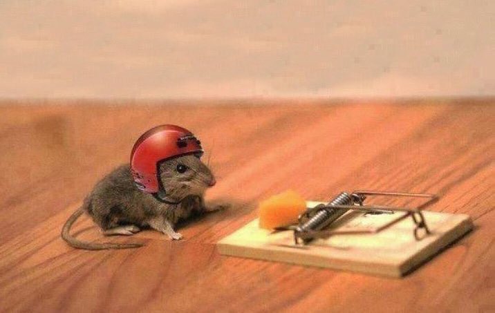 SpiritualistSNU's tweet photo. They say that fortune favours the brave. I will be brave today and make my actions count toward progress in my life. #Spiritualism #PositiveAffirmation #EternalProgress #SpiritInAction https://t.co/NNaNwhagWF