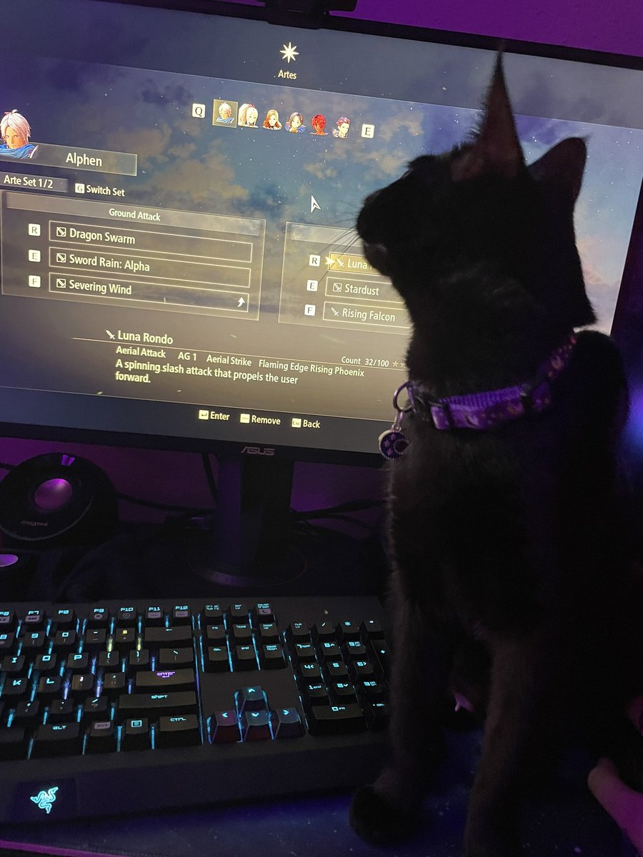 mami_marune's tweet photo. This is my life meow. 🥲 #nyxie https://t.co/VYJq5InAZH